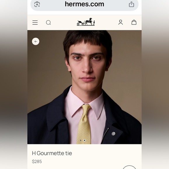 Hermès Pegasus Flyus Tie 100%silk Made In France Men's - Picture 10 of 10